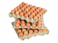 hatching time for chicken eggs